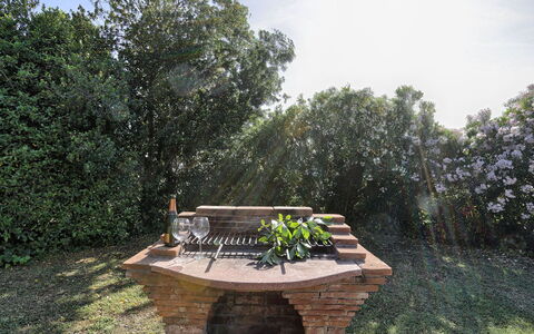 Virginia 8: Legna, Arbusto, Giardino, Mobili Da Esterno, Tronco, Landscaping, Panchina, Tavolo Esterno, Backyard, Parco