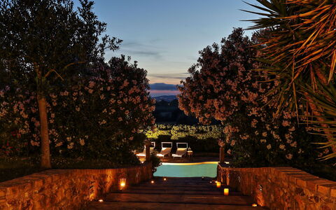 Virginia 8: Crepuscolo, Illuminazione, Sera, Notte, Tramonto, Paesaggio Di Illuminazione, Piscina, Afterglow, Alba, Giardino
