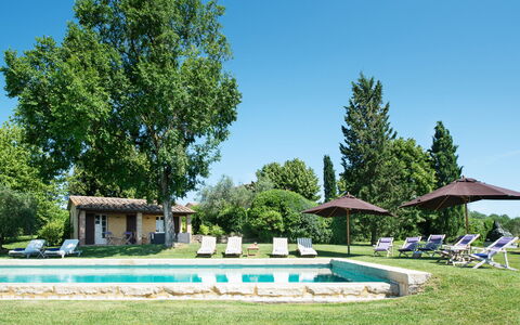 Podere Gragnano 12: Albero, Erba, Arbusto, Lotto, Prato, Giardino, Casa, Estate, Villetta