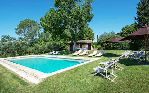 Podere Gragnano 12: Albero, Casa, Casa, Lotto, Estate, Agriturismo, Villetta, Giardino, Prato, Piscina