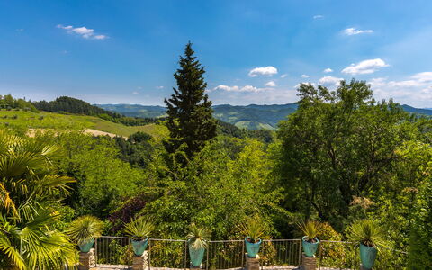 Il Castellaccio 8: Verde, Natura, Geografia Montane, Vegetazione, Montagna, Collina, Paesaggio, Nube, Comunita 'Impianto, Hill Station