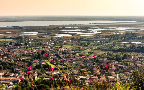 Il Ciliegio sul Lago 6: Zona Residenziale, Visione Globale, Fotografia Aerea, Paesaggio, Quartiere, Sobborgo, Urban Design, Campo, Villaggio, Piantagione