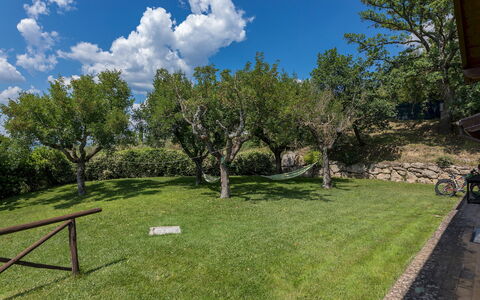 Il Casale del Nonno 8+2: Albero, Paesaggio, Arbusto, Lotto, Plain, Giardino, Prato, Prato, Shade