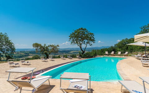 Santa Illuminata 12: Paesaggio, Mobili Da Esterno, Eco Hotel, Landscaping, Ricorrere, Piscina, Piantagione, Resort Citta '