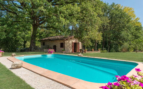 Mulino della Quercia 2+1: Piscina, Giardino, Backyard, Shade, Landscaping, Hacienda, Agriturismo, Cortile, Eco Hotel, Ricorrere