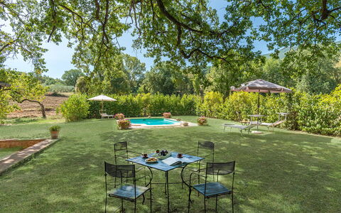 Mulino della Quercia 2+1: Albero, Piscina, Arbusto, Giardino, Ricorrere, Prato, Shade, Eco Hotel, Landscaping, Backyard