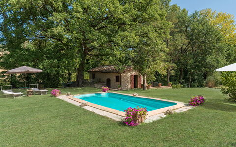 Mulino della Quercia 2+1: Piscina, Giardino, Backyard, Prato, Agriturismo, Estate, Cortile, Shade, Hacienda, Landscaping