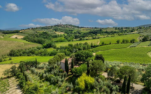 Villa Caterina 8: Paesaggio Naturale, Paesaggio, Area Rurale, Plain, Pascolo, Piantagione, Lotto, Campo, Agricoltura, Hill Station