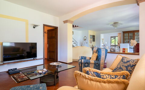 Villa Costanza 6: Mobilia, Interior Design, Pavimentazione, Divano, Pavimento, Soffitto, Legna, Camera, Soggiorno, Tavolo