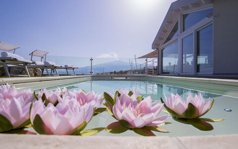 Villa Aura 6: Ricorrere, Piscina, Eco Hotel, Hotel, Villa, Resort Citta ', Ombrello, Mobili Da Esterno, Balcone