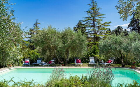 Villa Fiorentini 10: Arbusto, Giardino, Hacienda, Landscaping, Estate, Cortile, Backyard, Mobili Da Esterno, Shade, Villa