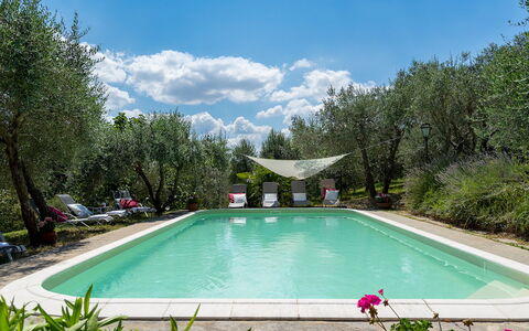 Villa Fiorentini 10: Piscina, Mobili Da Esterno, Giardino, Backyard, Sedia, Cortile, Landscaping, Ricorrere, Shade, Hacienda