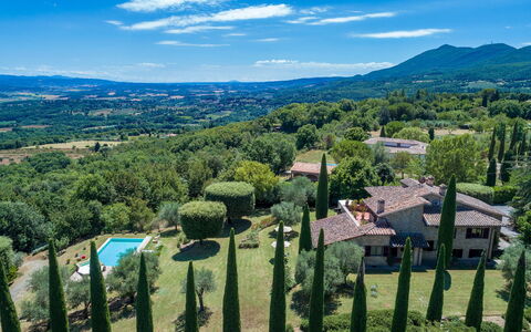 Villa Il Cedro 10+1: Vegetazione, Paesaggio Naturale, Paesaggio, Lotto, Area Rurale, Groundcover, Hill Station, Prato, Piantagione, Estate