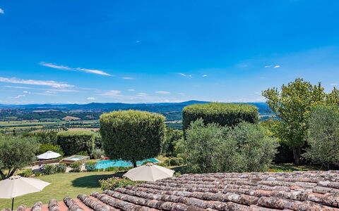 Villa Il Cedro 10+1: Collina, Paesaggio, Highland, Hill Station, Giardino, Landscaping, Mobili Da Esterno, Eco Hotel, Piscina, Ricorrere