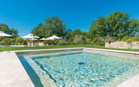 Villa le Chiarne 22: Giardino, Piscina, Landscaping, Riflessione, Giochi D'Acqua, Design, Stagno, Giardino Botanico, Reflecting Pool