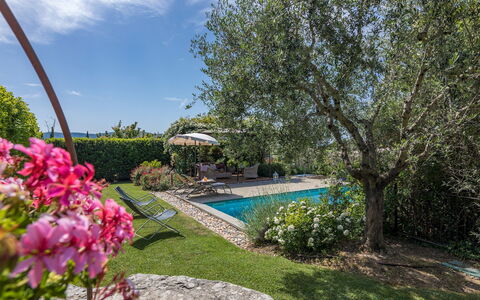 La Capannina 2+2: Blu, Arbusto, Giardino, Landscaping, Piscina, Shade, Backyard, Cortile, Estate, Hacienda