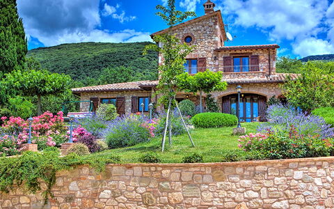 Villa Bella 8: Fiore, Arbusto, Giardino, Casa, Villetta, Agriturismo, Landscaping, Estate, Giardino Botanico
