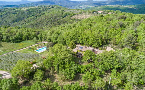 La Cerqua 8: Albero, Ambiente Naturale, Vegetazione, Paesaggio, Area Rurale, Visione Globale, Lotto, Foresta, Hill Station, Piantagione