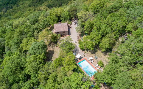 Casa Largnano 6+2: Albero, Ambiente Naturale, Natura, Vegetazione, Paesaggio, Area Rurale, Casa, Foresta, Comunita 'Impianto, Villetta