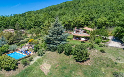 Villa Paola 6: Paesaggio, Area Rurale, Estate, Hill Station, Foresta, Eco Hotel, Visione Globale, Giungla, Piantagione, Landscaping