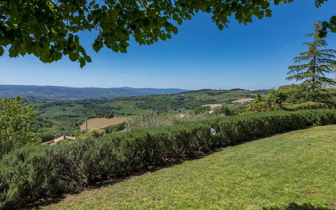 Villa Mila 6: Cielo, Albero, Verde, Ambiente Naturale, Erba, Natura, Foglia, Collina, Vegetazione