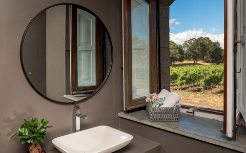 Villa Terre Normanne 10: Interior Design, Specchio, Idraulico Fixture, Rubinetto, Idraulico, Lavandino Del Bagno, Lavello, Serveware, Bagno, Lampada