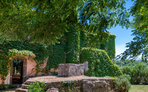 Villa Terre Normanne 10: Verde, Parete, Foglia, Natura, Vegetazione, Arbusto, Giardino, Groundcover, Muro ​​Di Pietra, Shade
