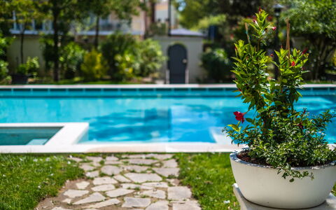 Villa Guidi 10: Verde, Piscina, Arbusto, Giardino, Shade, Tempo Libero, Mobili Da Esterno, Landscaping, Prato