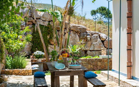 Villa Olimpia 6+2: Vaso Di Fiori, Giardino, Sedia, Mobili Da Esterno, Landscaping, Flagstone, Backyard, Pianta Della Casa, Terrazza, Materiali Naturali