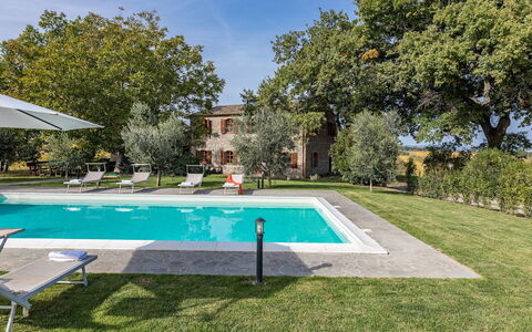 Casale le Tre Querce 8+1: Albero, Zona Residenziale, Estate, Piscina, Casa, Casa, Prato, Giardino, Agriturismo, Hacienda