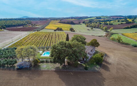 Casale le Tre Querce 8+1: Albero, Paesaggio, Zona Residenziale, Plain, Casa, Visione Globale, Lotto, Area Rurale, Casa, Insediamento Umano