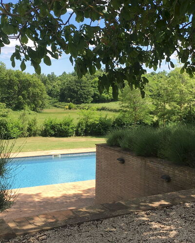 Villa Carmeli 12+2: Piscina, Giardino, Shade, Backyard, Landscaping, Sempreverde