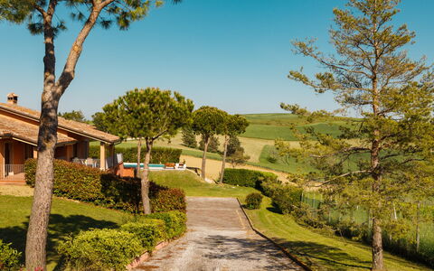 Villa California 6: Erba, Arbusto, Lotto, Giardino, Landscaping, Villetta, Estate, Prato, Shade, Agriturismo