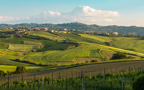 Villa California 6: Verde, Collina, Campo, Paesaggio Naturale, Agricoltura, Pascolo, Paesaggio, Plain, Highland, Area Rurale