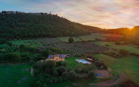 Podere Pratovecchio 14+2: Paesaggio, Area Rurale, Pascolo, Lotto, Insediamento Umano, Villaggio, Campo, Piantagione, Villetta, Estate