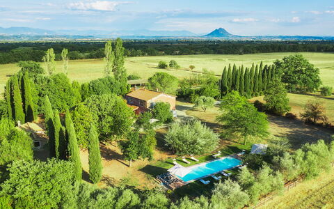 Casale Dell Oasi 12: Lotto, Estate, Giardino, Piantagione, Prato, Landscaping, Agriturismo, Hacienda, Eco Hotel, Azienda Agricola