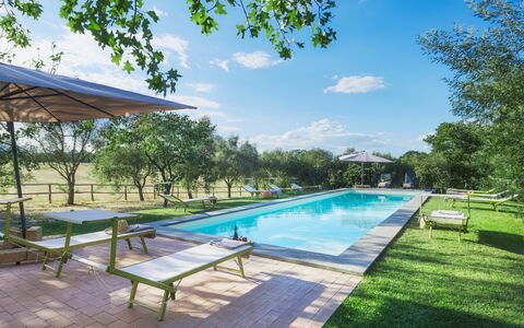 Casale Dell Oasi 12: Giardino, Piscina, Tempo Libero, Estate, Landscaping, Parco, Shade, Prato, Mobili Da Esterno, Ricorrere
