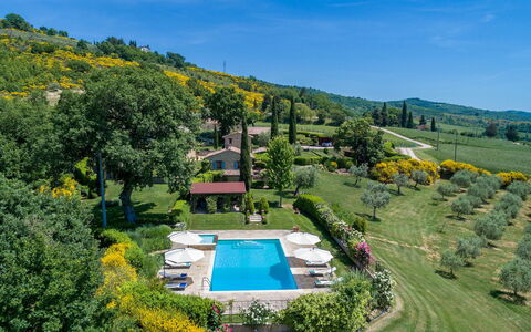 Casal Parro 6: Arbusto, Lotto, Giardino, Estate, Piscina, Groundcover, Piantagione, Landscaping, Ricorrere, Prato