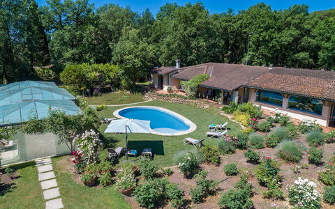 Villa Mimmina 8: Piscina, Giardino, Shade, Ricorrere, Prato, Estate, Tempo Libero, Landscaping, Backyard, Eco Hotel