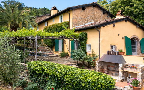 Villa Marraccini 8: Arbusto, Giardino, Villetta, Shade, Hacienda, Estate, Backyard, Eco Hotel, Landscaping, Cortile