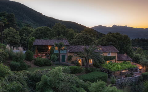 Villa Marraccini 8: Geografia Montane, Natura, Vegetazione, Montagna, Paesaggio Naturale, Collina, Paesaggio, Arbusto, Highland