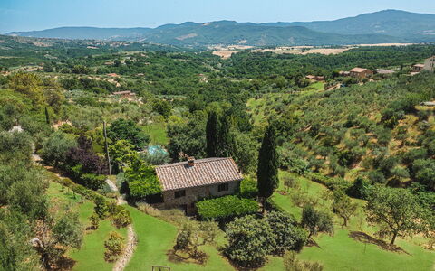 Casa di Pan 6: Albero, Vegetazione, Paesaggio Naturale, Paesaggio, Collina, Highland, Area Rurale, Arbusto, Pascolo, Comunita 'Impianto
