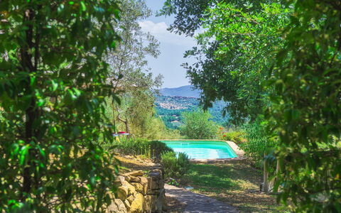 Casa di Pan 6: Arbusto, Giardino, Landscaping, Backyard, Piscina, Giardino Botanico