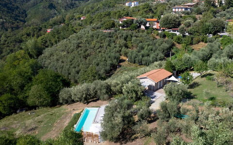 Villa Cristina 3: Albero, Paesaggio, Casa, Area Rurale, Hill Station, Villetta, Estate, Pendenza, Villaggio, Eco Hotel