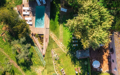 La Dama del Bosco 8+3: Giardino, Eco Hotel, Backyard, Villetta, Estate, Landscaping, Piscina, Latifoglie, Cortile, Color Legno