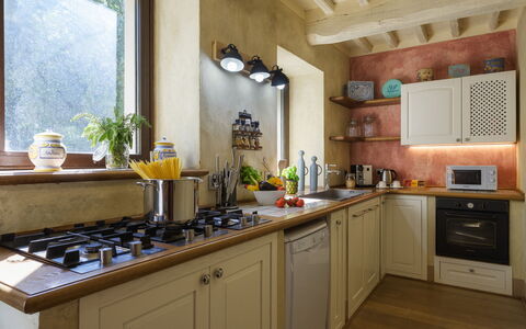 La Dama del Bosco 8+3: Cucina, Elettrodomestico Da Cucina, Controsoffitto, Apparecchio Major, Interior Design, Mobilia, Cabinetry, Cucina Stufa, Stufa, Elettrodomestico