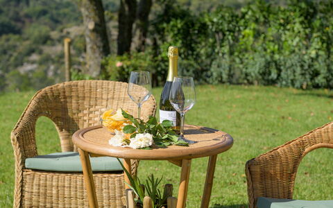 Casale Tavernelle 6: Mobilia, Mobili Da Esterno, Sedia, Tavolo, Tavolo Esterno, Di Vimini, Giardino, Color Legno, Terrazza, Tavolino Da Caffè