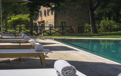 Villa Metelliano 10: Piscina, Mobili Da Esterno, Mobilia, Materiale Composito, Ricorrere, Lettino, Sedia, Estate, Flagstone, Eco Hotel