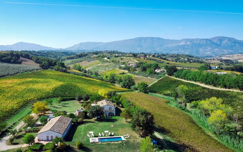 La Casa nei Vigneti 10: Geografia Montane, Collina, Paesaggio Naturale, Paesaggio, Highland, Plain, Campo, Montagna, Area Rurale, Agricoltura