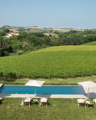 La Casa nei Vigneti 10: Piscina, Lettino, Ricorrere, Mobili Da Esterno, Ombrello, Estate, Tempo Libero, Eco Hotel, Villa, Landscaping